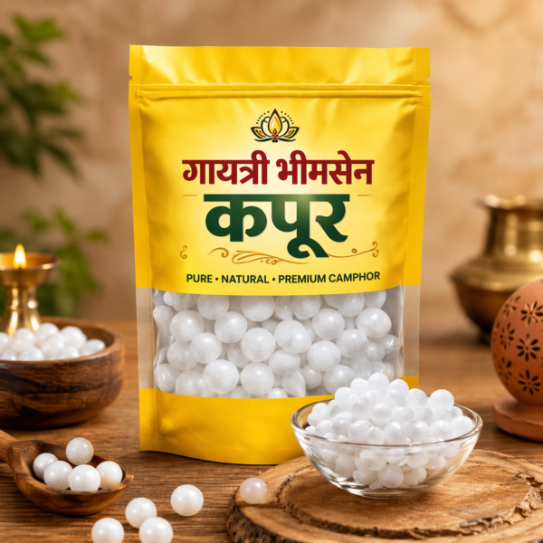 Gayatri Bhimshen Capoor Gayatri Bhimshen Capoor